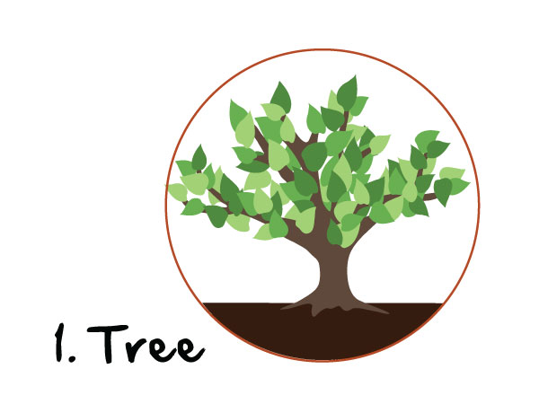 The Discipling Tree Series: A Close Brush with Life
